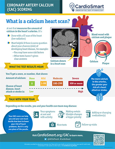 Coronary Artery Calcium CAC Scoring Infographic CardioSmart 